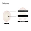 Hair System Base Diagram