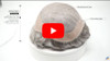 https://www.youtube.com/watch?v=3RcmcioepV8
