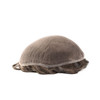 Mens Toupee M105  8"x 10" French Lace Hair System