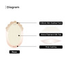hairpiece base diagram